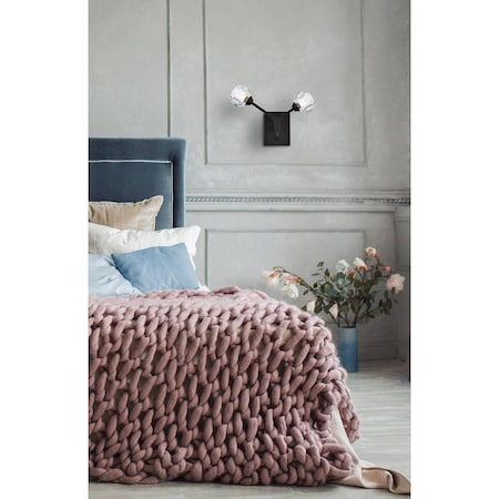 Elegant Lighting Elegant Lighting  10 in. Zayne 2-Light Wall Mounted Lamp, Black & Clear 3508W15BK